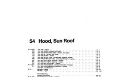 Hood and Sunroof